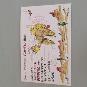 1960s Bob Pettey Western Flu-Flu Bird Postcard Cartoon